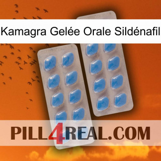 Kamagra Gelée Orale Sildénafil 23